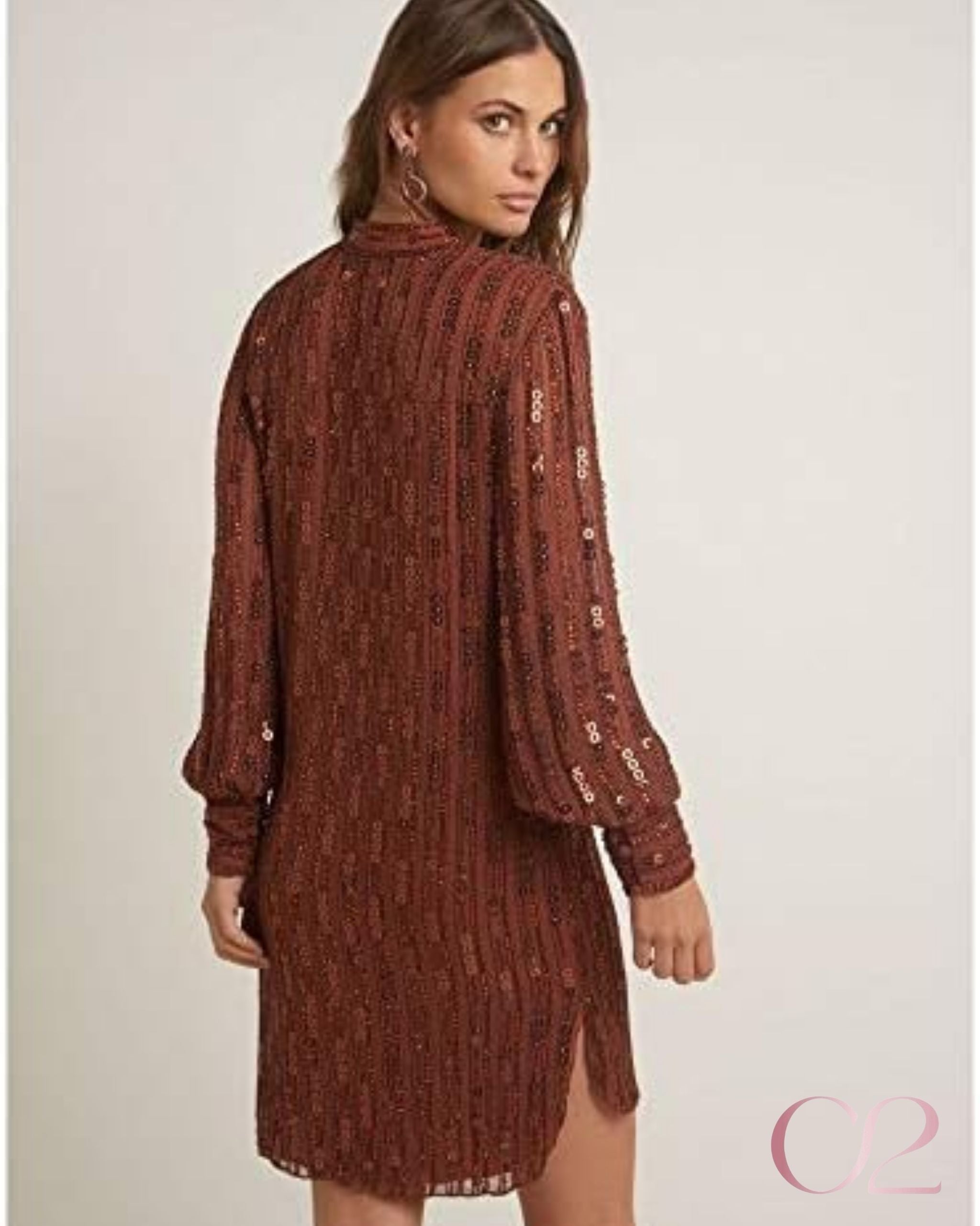 Vestido Bo.bô Bordado | Marrom
