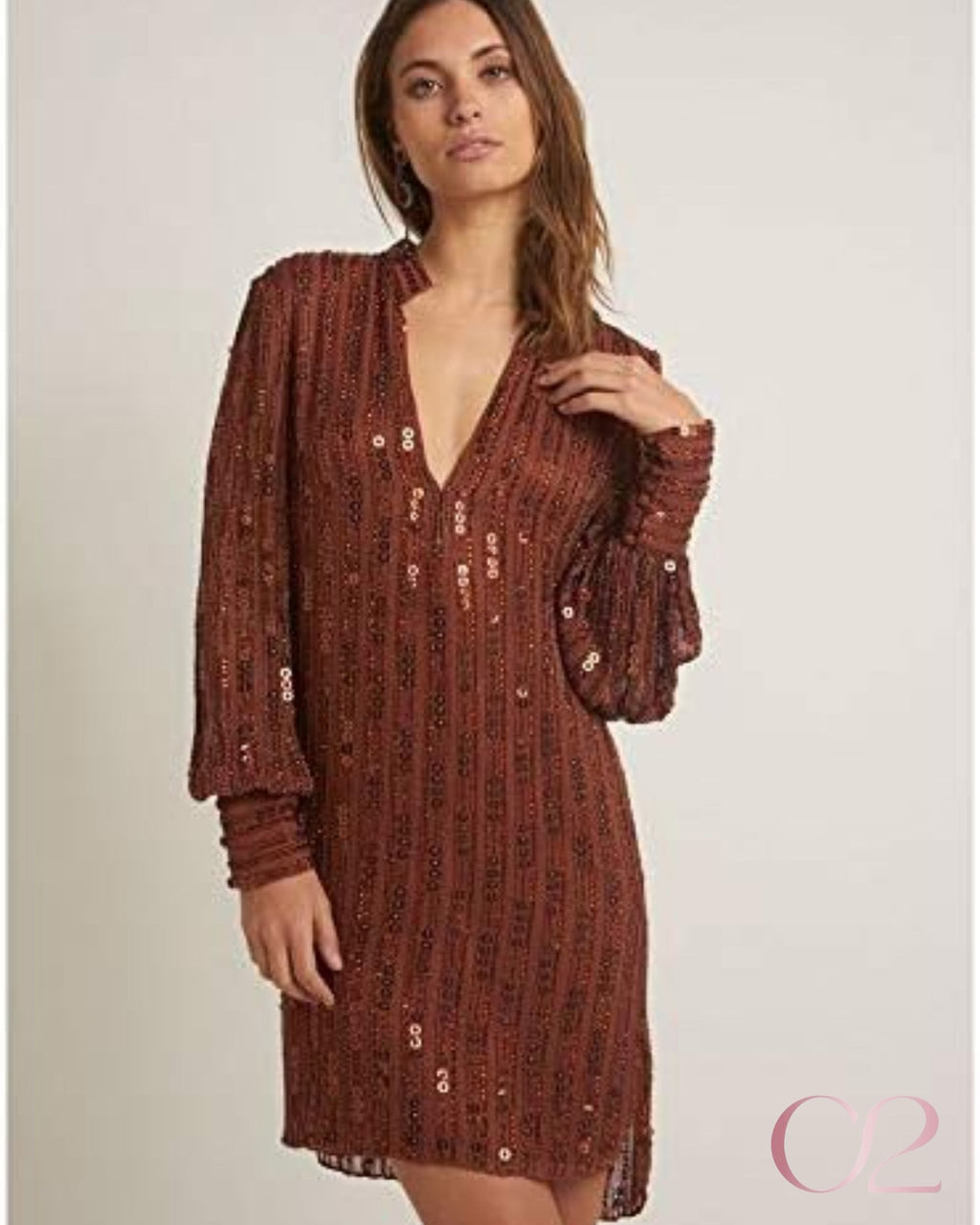 Vestido Bo.bô Bordado | Marrom